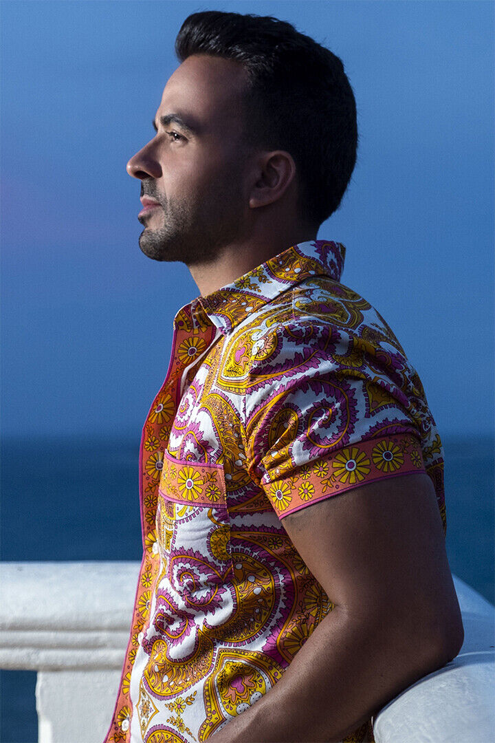 Luis Fonsi Celebrity Music Singer Actor Idol Poster Wall Art Print Home Wall Decor - xonomax