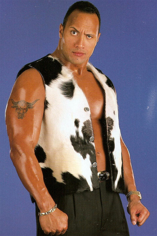 The Rock Jabroni Dr Great One Poster Wall Art Print Home Wall Decor - xonomax