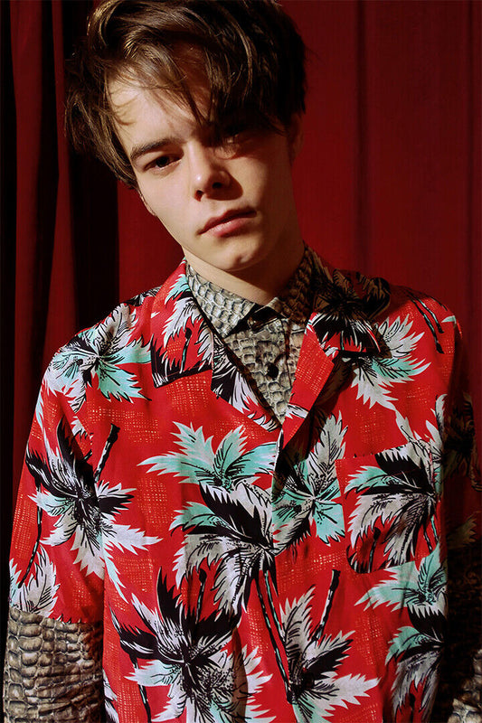 Charlie Heaton Celebrity Cinema Actress Star Poster Wall Art Print Home Wall Decor - xonomax