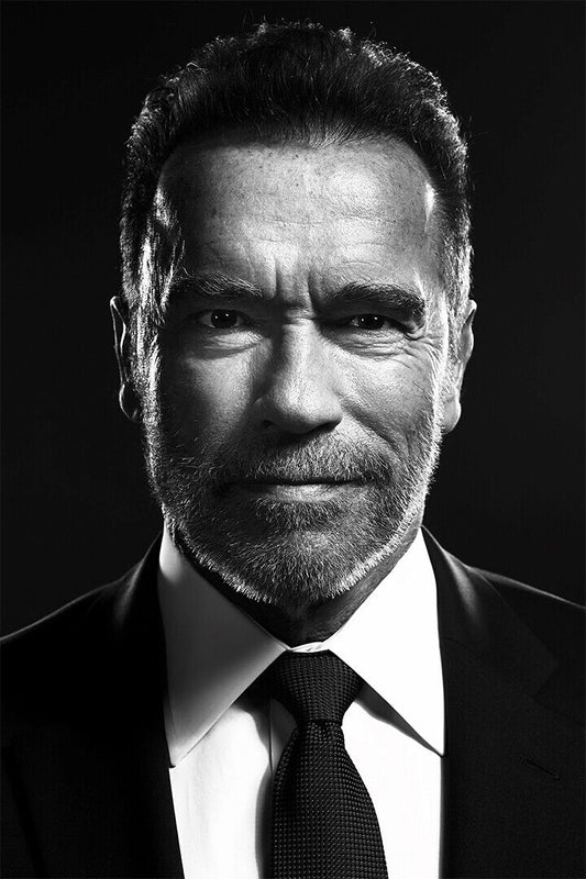 Arnold Schwarzenegger Celebrity Actor Poster Wall Art Print Home Wall Decor - xonomax