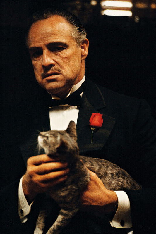 Godfather Vintage Classic Action Movie Cinema Poster Wall Art Print Home Wall Decor - xonomax