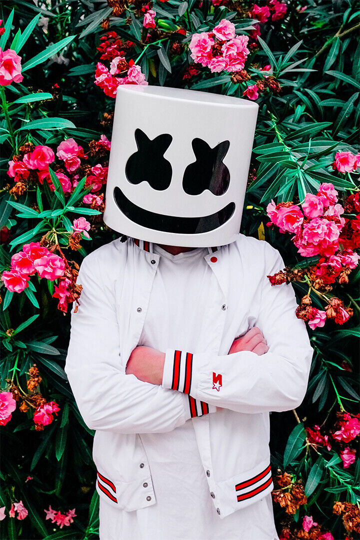 Marshmello Hip Hop Rap Singer Celebrity Poster Wall Art Print Home Wall Decor - xonomax