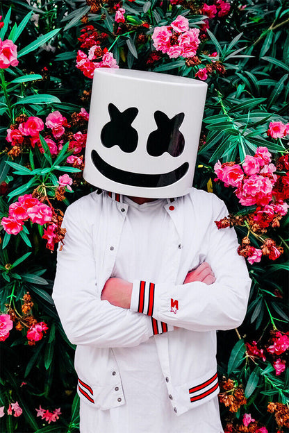 Marshmello Hip Hop Rap Singer Celebrity Poster Wall Art Print Home Wall Decor - xonomax