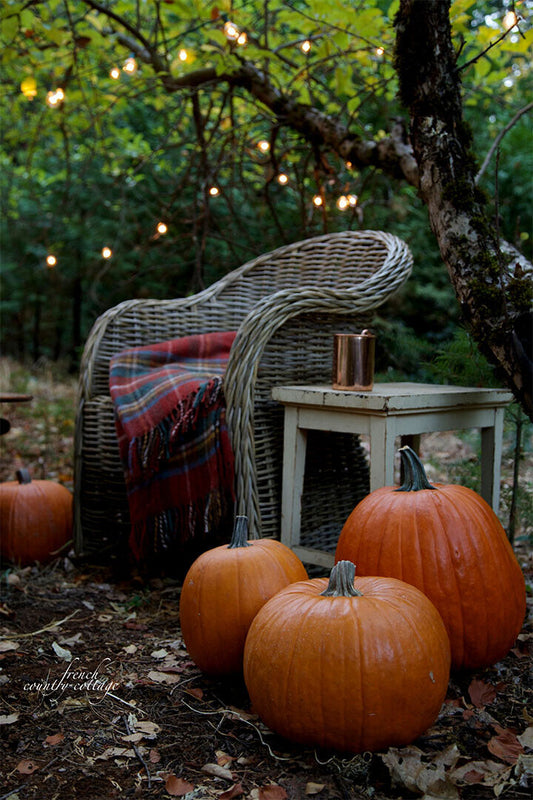 Pumpkins Willows Autumn Garden Fall Floral House Garden Poster Wall Art Print Home Wall Decor - xonomax