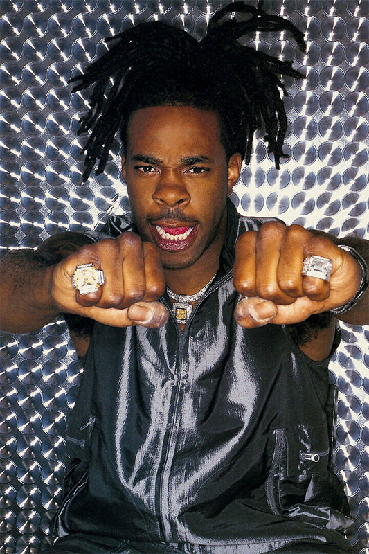 Busta Rhymes Singer Hip Hop Music Rapper Poster Wall Art Print Home Wall Decor - xonomax