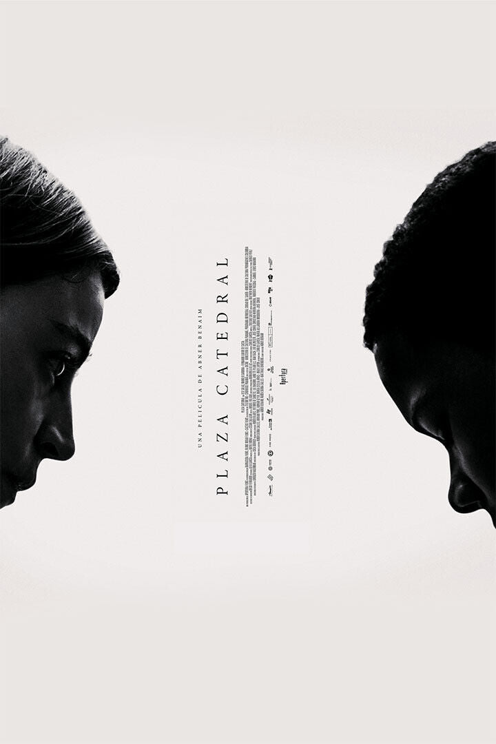 Plaza Catedral Movie Thriller Drama Poster Wall Art Print Home Wall Decor - xonomax