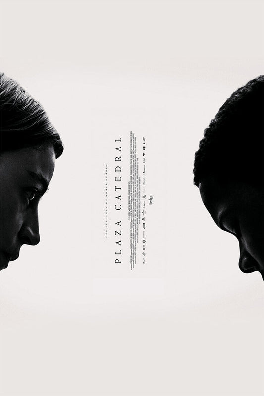 Plaza Catedral Movie Thriller Drama Poster Wall Art Print Home Wall Decor - xonomax