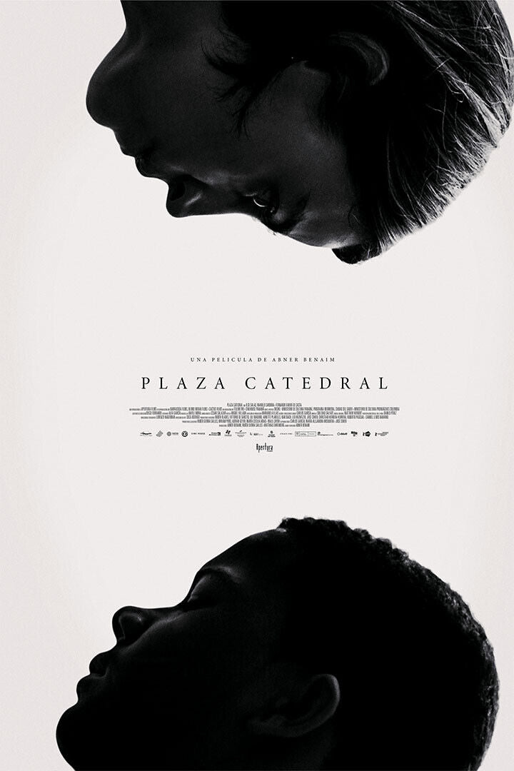 Plaza Catedral Movie Drama Thriller Poster Wall Art Print Home Wall Decor - xonomax