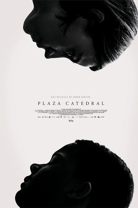 Plaza Catedral Movie Drama Thriller Poster Wall Art Print Home Wall Decor - xonomax
