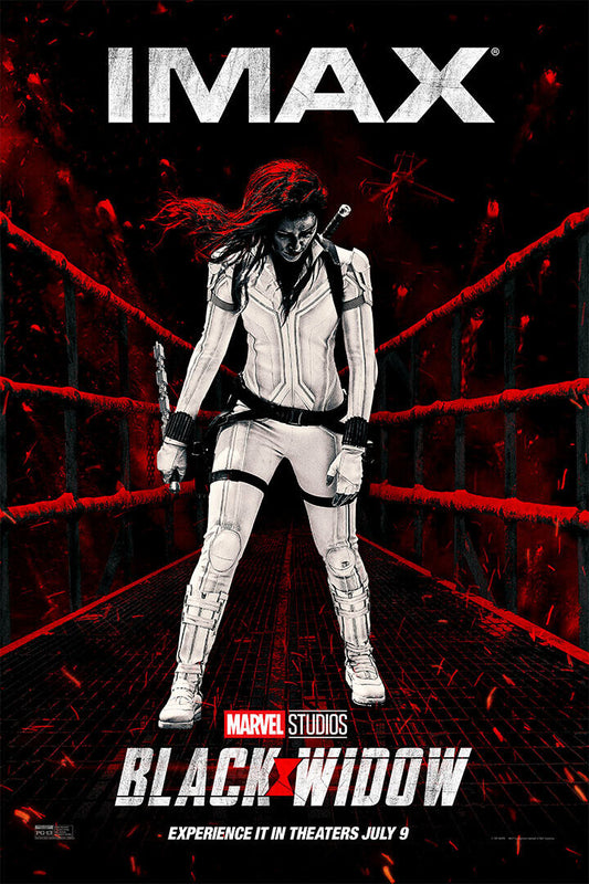 Black Widow Movie Fighting Warriors Action War Poster Wall Art Print Home Wall Decor - xonomax
