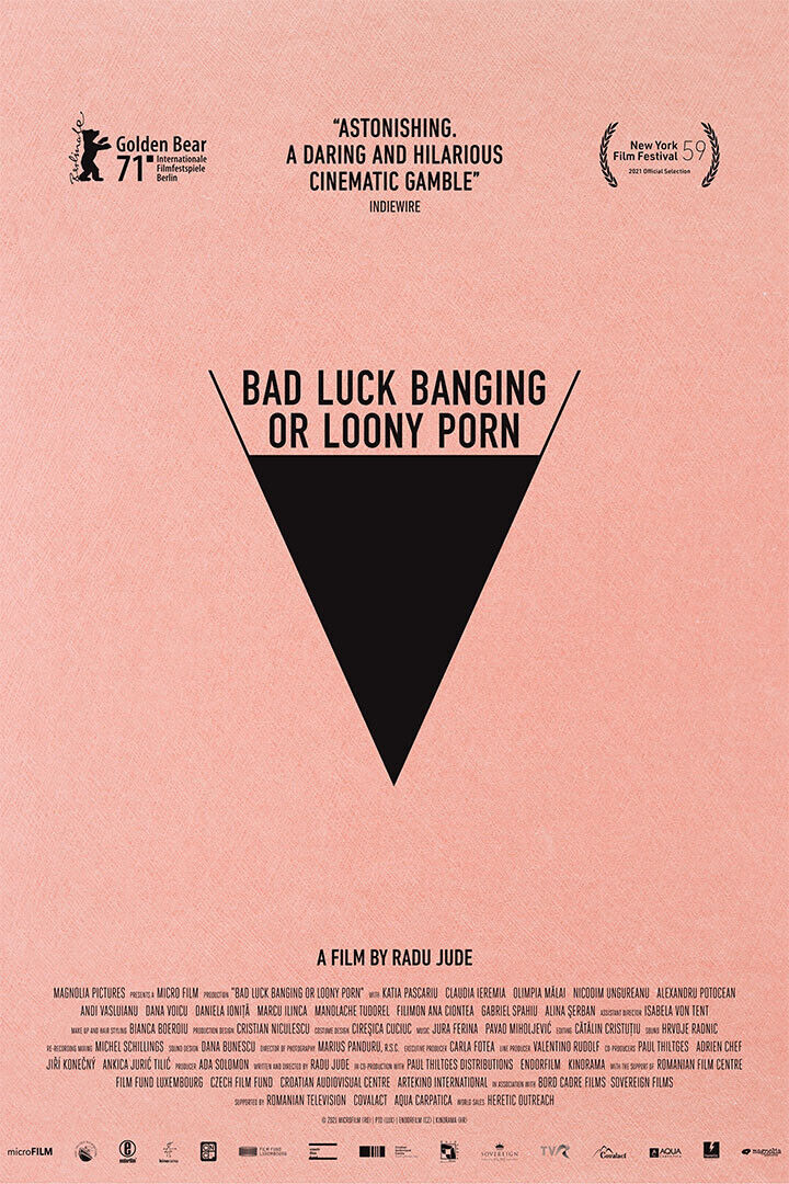Bad Luck Banging Or Loony Porn Movie Comedy Poster Wall Art Print Home Wall Decor - xonomax