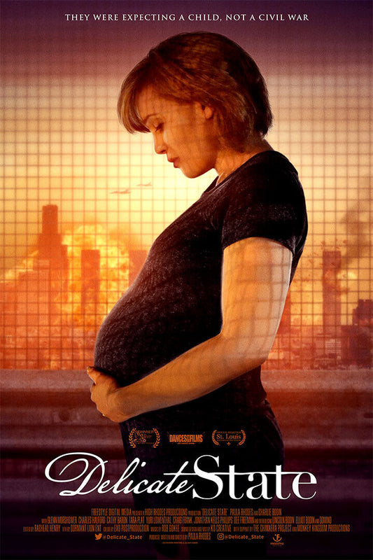 Delicate State Movie Drama Pregnancy Poster Wall Art Print Home Wall Decor - xonomax