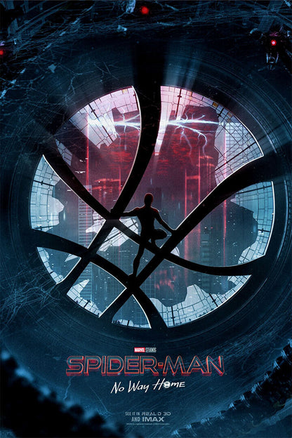 Spider Man No Way Home Movie Excitement Danger Poster Wall Art Print Home Wall Decor - xonomax