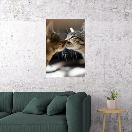 Cat Love All You Need Is Love And A Cat Poster Wall Art Print Home Wall Decor - xonomax