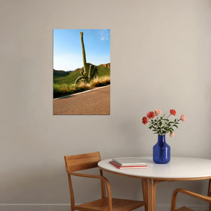 Nature Cactus Tropical Botanical Nature Poster Wall Art Print Home Wall Decor - xonomax
