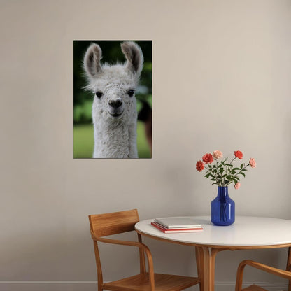 Llama Alpaca Boho Nursery Poster Wall Art Print Home Wall Decor - xonomax