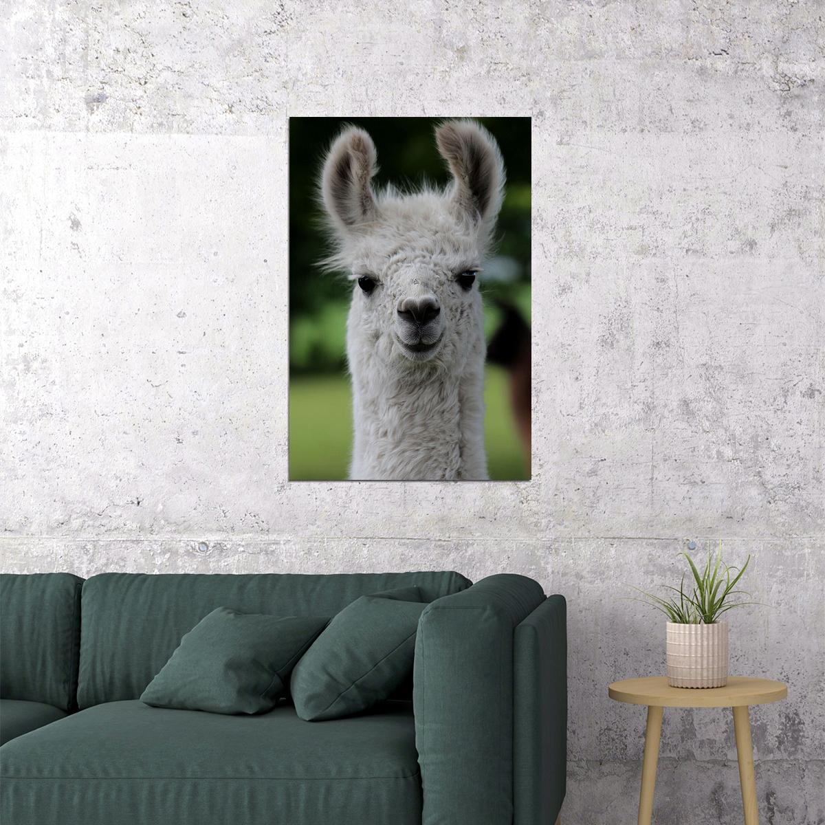 Llama Alpaca Boho Nursery Poster Wall Art Print Home Wall Decor - xonomax