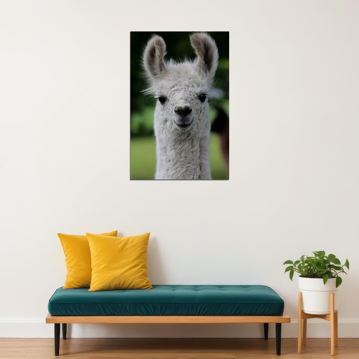 Llama Alpaca Boho Nursery Poster Wall Art Print Home Wall Decor - xonomax
