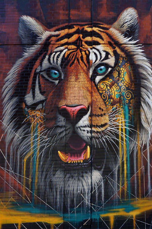Tiger Graffiti Modern Animals Poster Wall Art Print Home Wall Decor - xonomax