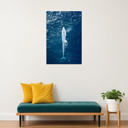 Lovely Blue Whale Sea Animals Poster Wall Art Print Home Wall Decor - xonomax