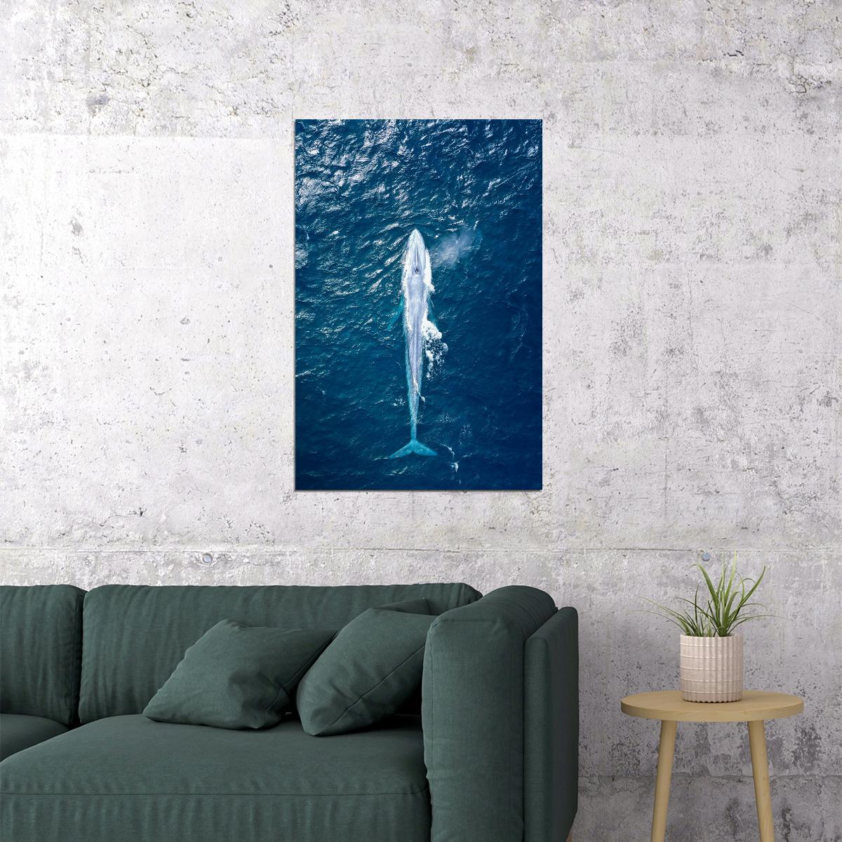 Lovely Blue Whale Sea Animals Poster Wall Art Print Home Wall Decor - xonomax
