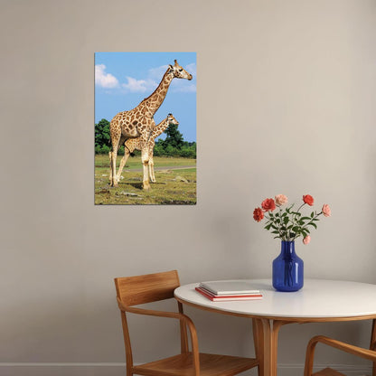 African Giraffes Lover Landscape Animals Poster Wall Art Print Home Wall Decor - xonomax