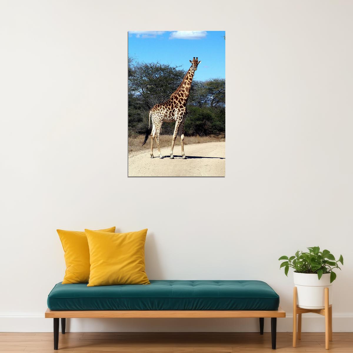 African Giraffes Lover Animals Landscape Poster Wall Art Print Home Wall Decor - xonomax