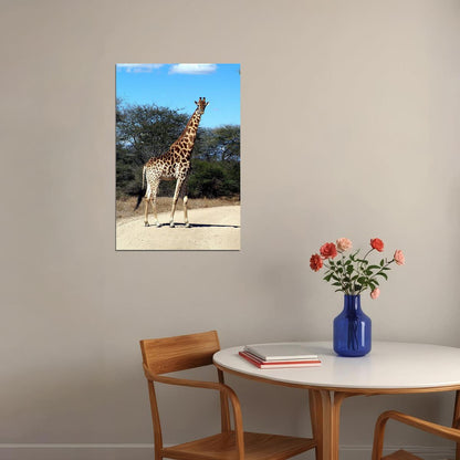 African Giraffes Lover Animals Landscape Poster Wall Art Print Home Wall Decor - xonomax