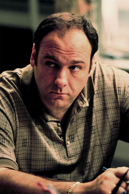 Tony Soprano Portrait The Sopranos Movie Inspired Poster Wall Art Print Home Wall Decor - xonomax
