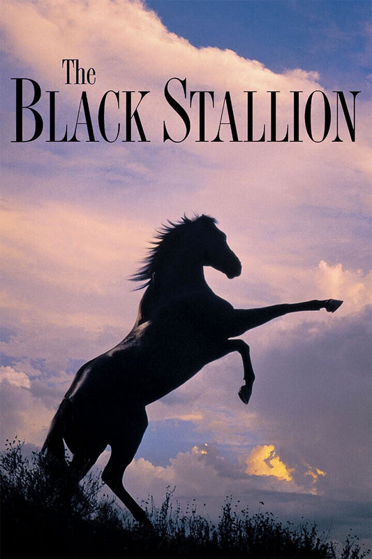 Black Stallion 1979 Movie Family Sport Adventure Poster Wall Art Print Home Wall Decor - xonomax