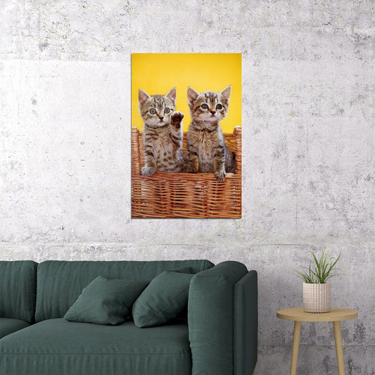 Cat Love All You Need Is Love And A Cat Domesticated Poster Wall Art Print Home Wall Decor - xonomax
