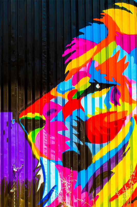 Modern Graffiti Street Animal Lion Colorful Poster Wall Art Print Home Wall Decor - xonomax