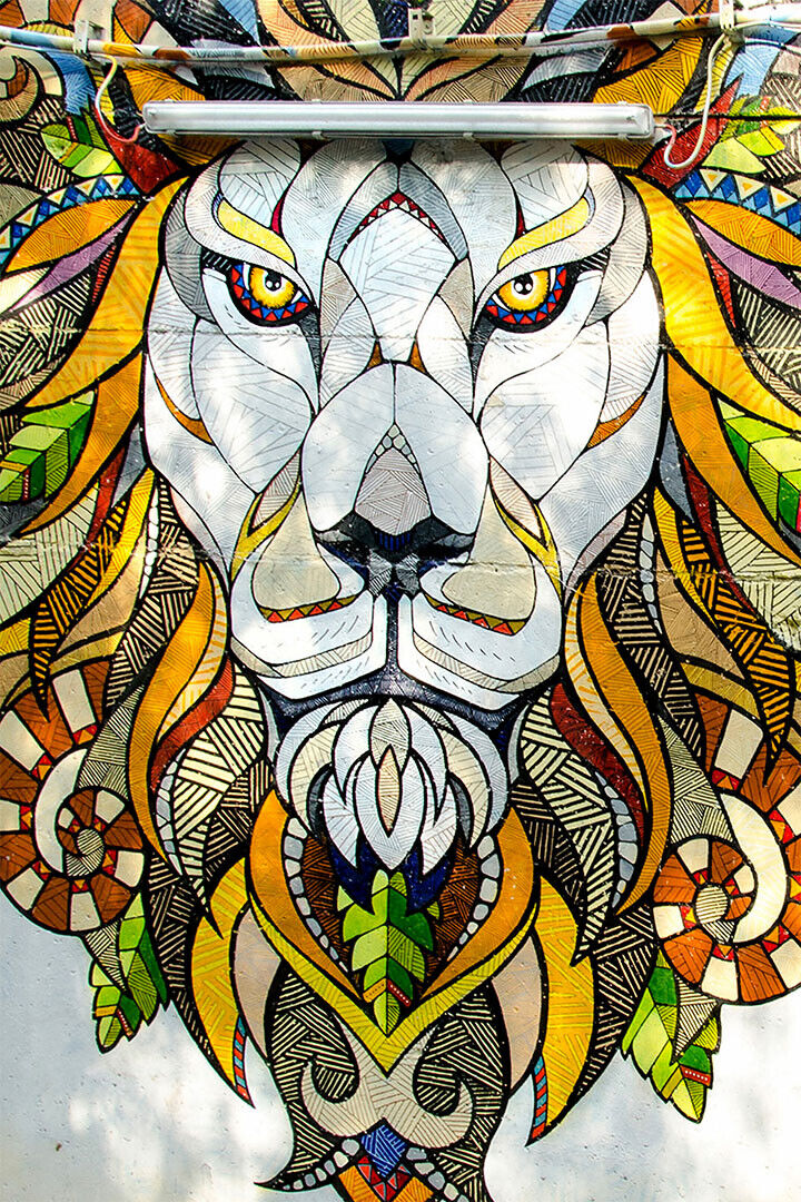 Modern Graffiti Street Animal Lion Poster Wall Art Print Home Wall Decor - xonomax