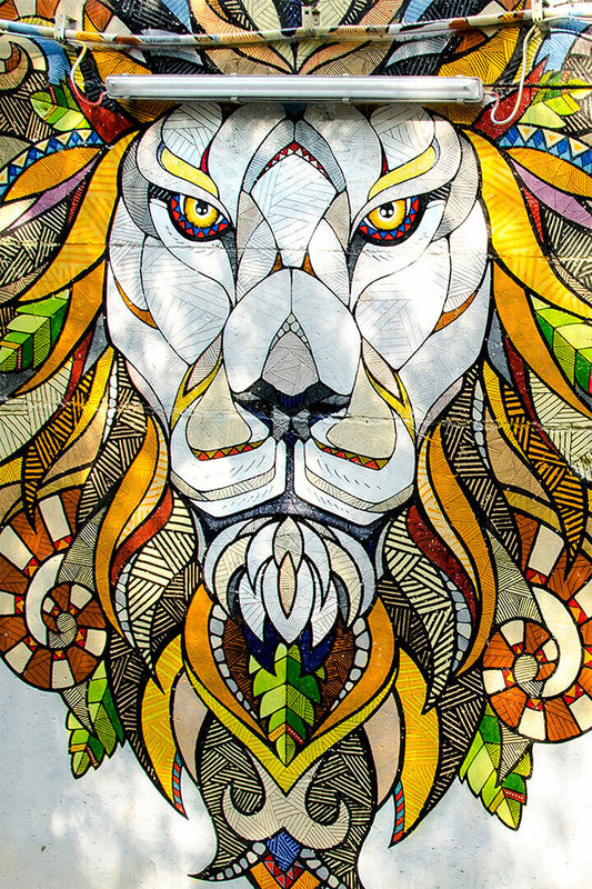 Modern Graffiti Street Animal Lion Poster Wall Art Print Home Wall Decor - xonomax