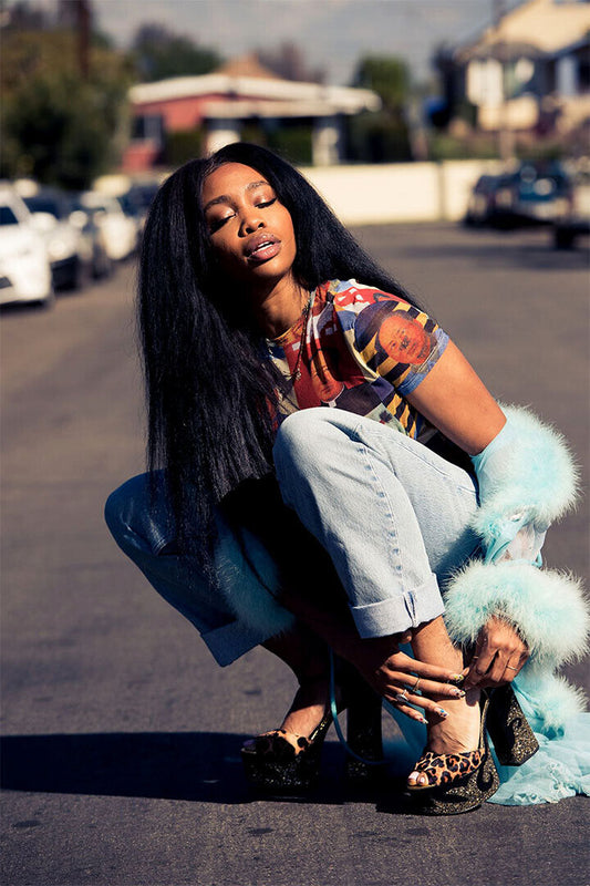 Sza Ctrl Rap Music Singer Star Music Album Famous Poster Wall Art Print Home Wall Decor - xonomax