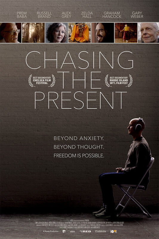 Chasing The Present Movie 2020 Poster Wall Art Print Home Wall Decor - xonomax