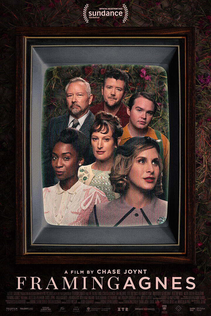 Framing Agnes Movie Documentary Homosexuality Poster Wall Art Print Home Wall Decor - xonomax