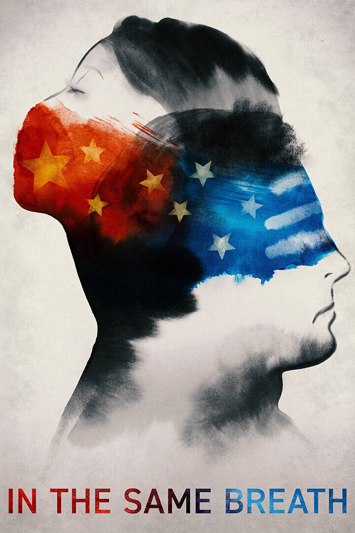 In The Same Breath Movie Documentary Poster Wall Art Print Home Wall Decor - xonomax