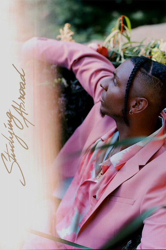 Masego Album Studying Abroad Music Poster Wall Art Print Home Wall Decor - xonomax