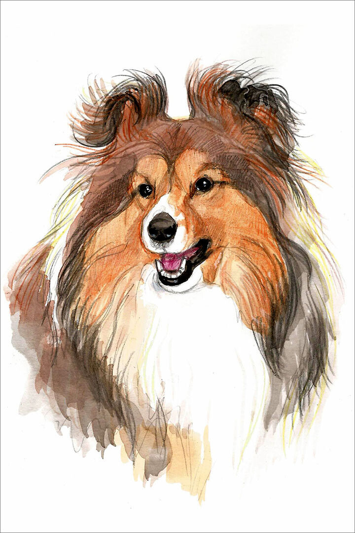 Sheltie Sunflower Picture Dog Breed Small Animal Poster Wall Art Print Home Wall Decor - xonomax