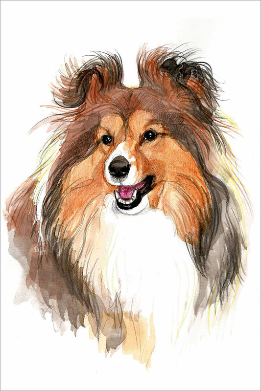 Sheltie Sunflower Picture Dog Breed Small Animal Poster Wall Art Print Home Wall Decor - xonomax