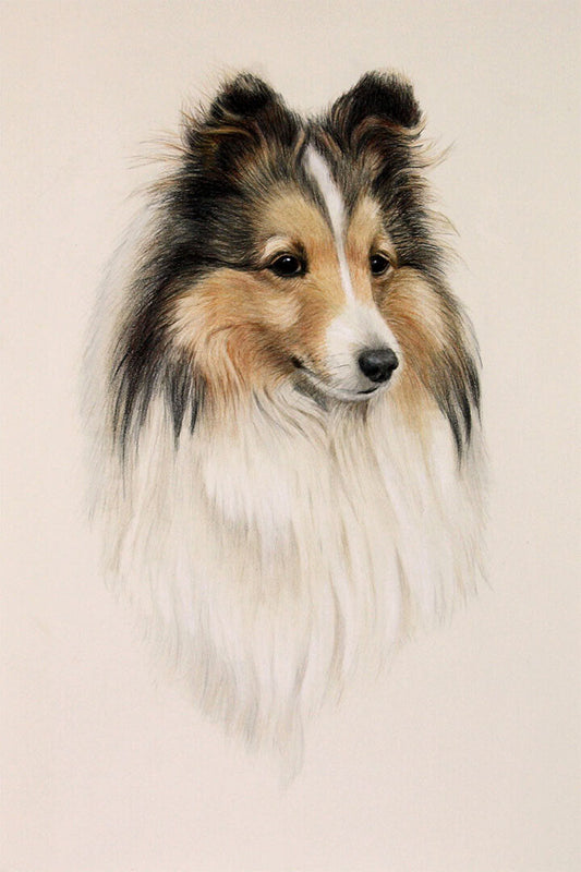 Sheltie Sunflower Dog Breed Small Animal Poster Wall Art Print Home Wall Decor - xonomax