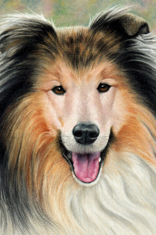 Sheltie Sunflower Small Animal Dog Breed Poster Wall Art Print Home Wall Decor - xonomax