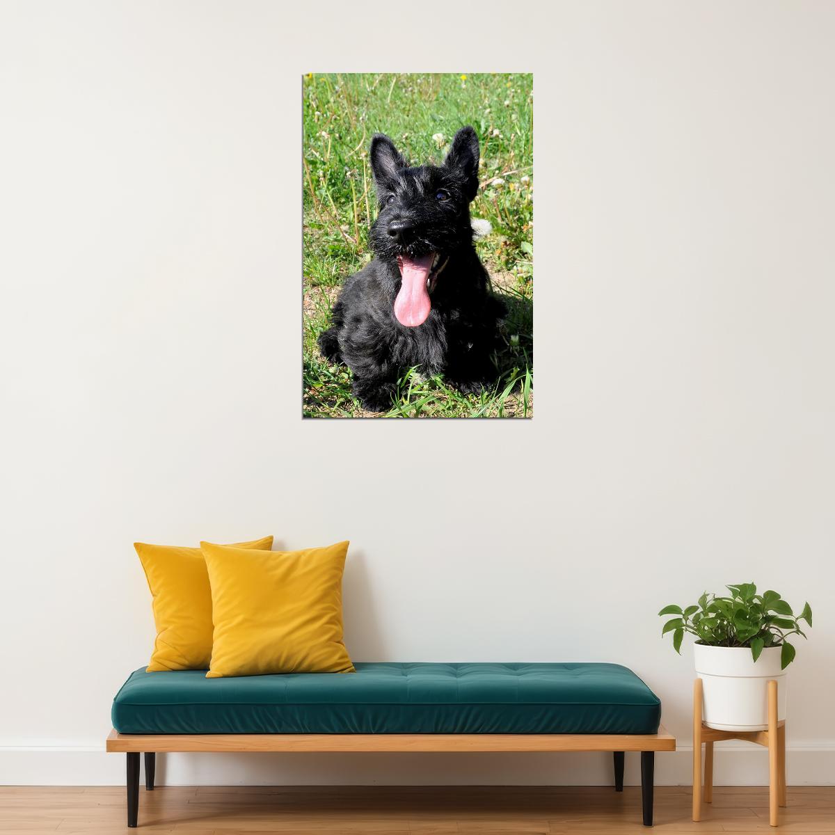 Scottish Terrier Sunflower Animal Poster Wall Art Print Home Wall Decor - xonomax
