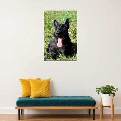 Scottish Terrier Sunflower Animal Poster Wall Art Print Home Wall Decor - xonomax
