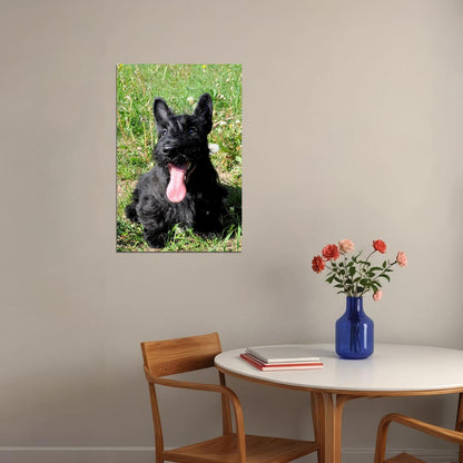 Scottish Terrier Sunflower Animal Poster Wall Art Print Home Wall Decor - xonomax