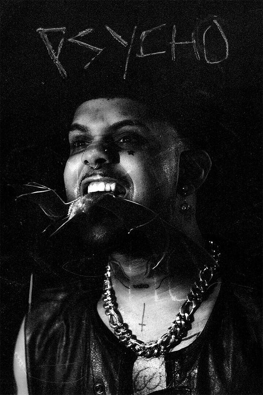 Smokepurp Singer Psycho Legally Insane Poster Wall Art Print Home Wall Decor - xonomax