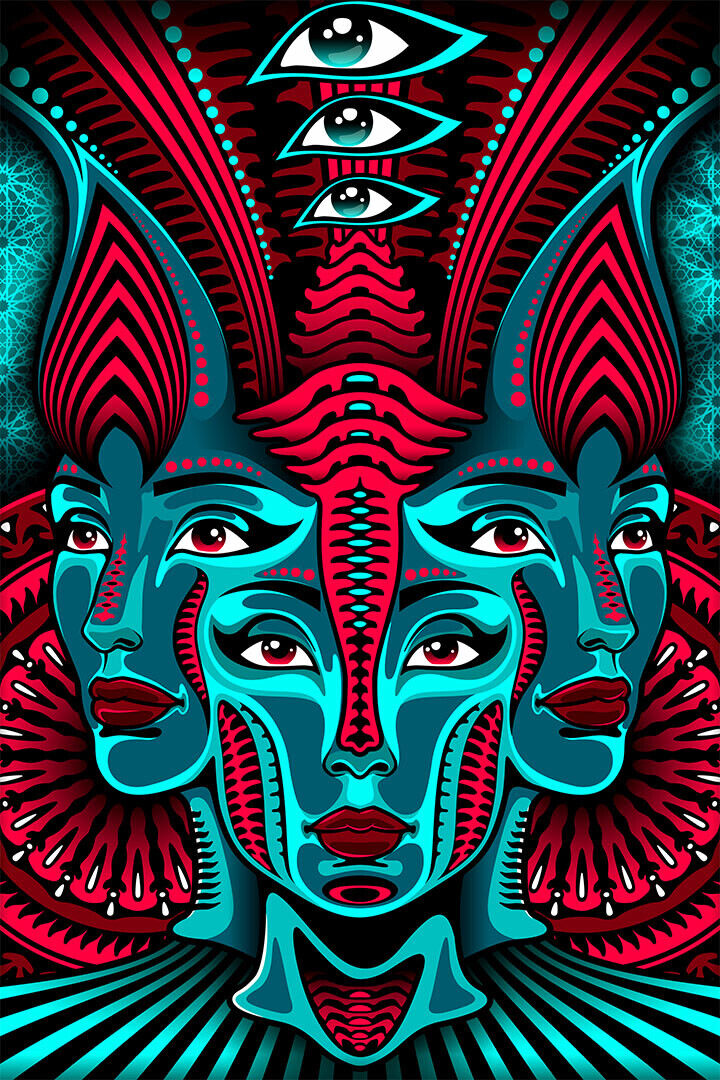 Psychedelic Trippy Abstract Modern Faces Poster Wall Art Print Home Wall Decor - xonomax