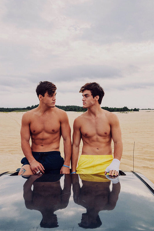 Dolan Twins Celebrity Comedians Poster Wall Art Print Home Wall Decor - xonomax