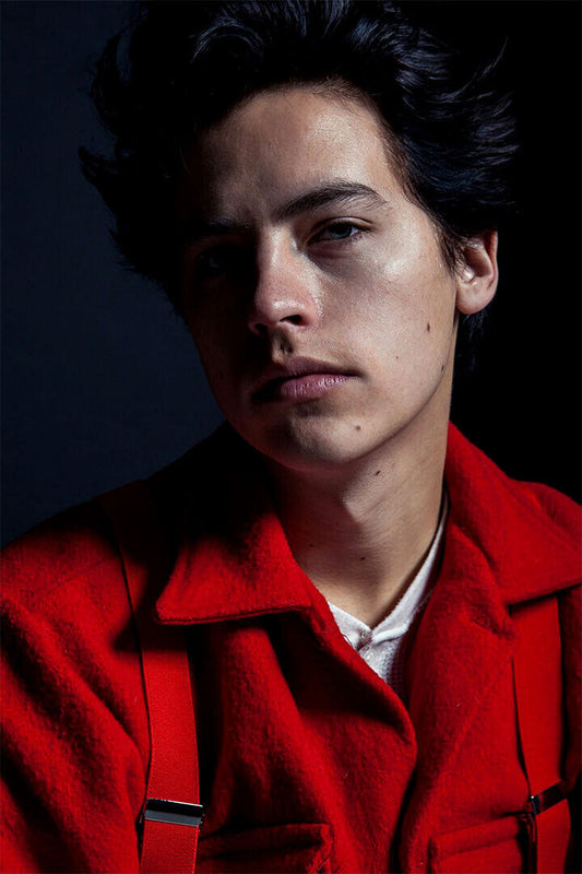 Cole Sprouse Artist Actor Actress Poster Wall Art Print Home Wall Decor - xonomax